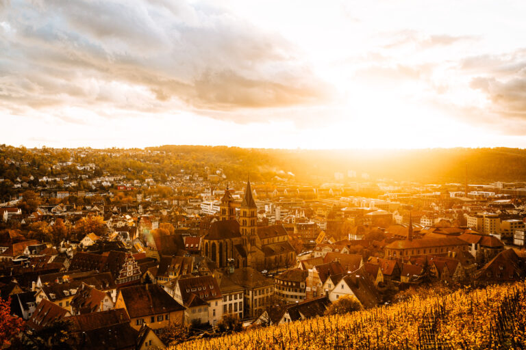 Blick über Esslingen