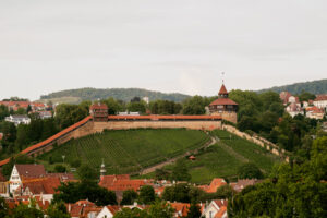 Burg Esslingen mit Weinbergen